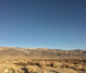 Scenic view of landscape against clear sky