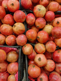 Full frame shot of fruits