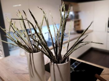 Close-up of plant on table at home