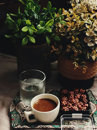 Tea cup and potted plant on table