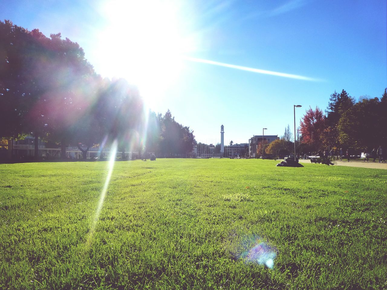 grass, sun, sunbeam, sunlight, lens flare, green color, field, sky, grassy, tree, lawn, sunny, bright, growth, building exterior, park - man made space, built structure, nature, landscape, architecture