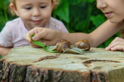 Close-up of boy eating fruit