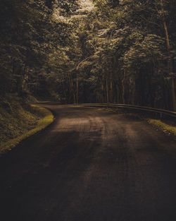 Empty road amidst trees in forest