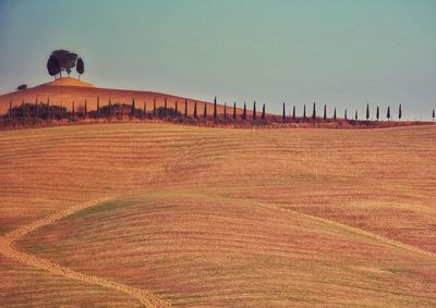 Scenic view of landscape against clear sky