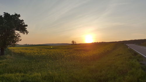Scenic view of field against sky during sunset