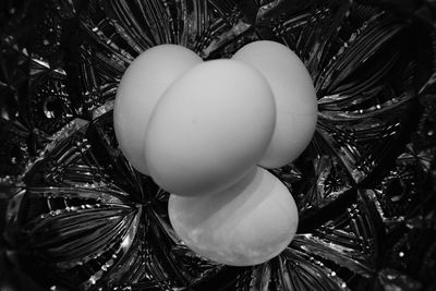 Close-up of christmas ornaments on tree