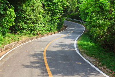 Road amidst trees