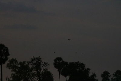 Low angle view of silhouette trees against sky at dusk