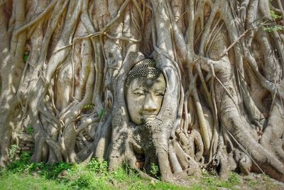 View of buddha statue by tree trunk