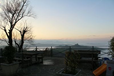 Reflection of trees in sea