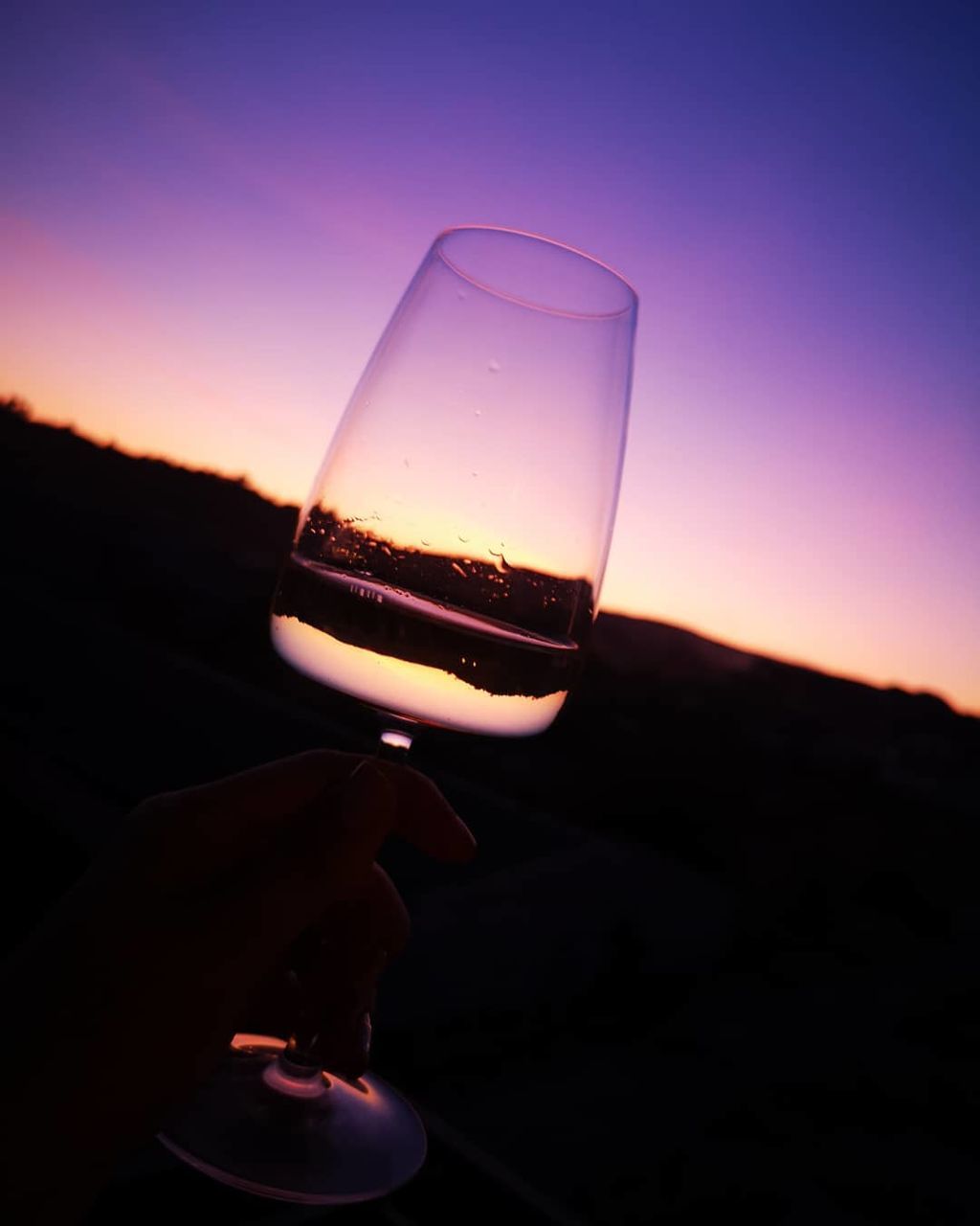 drink, alcohol, glass, refreshment, wine, human hand, human body part, food and drink, hand, sunset, holding, wineglass, one person, sky, close-up, nature, adult, body part, transparent, drinking glass, outdoors, finger, red wine, luxury, drinking