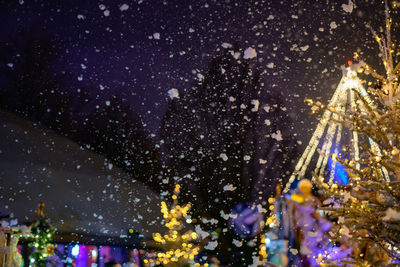 Illuminated christmas tree during winter at night