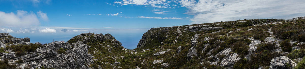 Low angle view of trees against sky