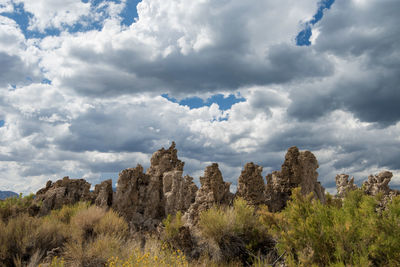 Low angle view of trees against cloudy sky