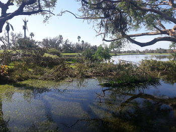 Scenic view of lake against sky
