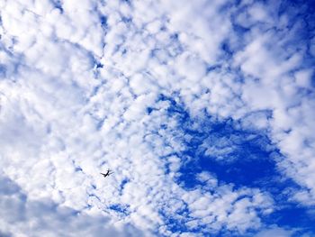 Low angle view of airplane flying in sky