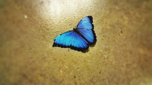 Close-up of multi colored wall