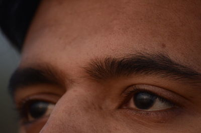 Close-up of human eye