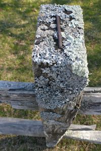 Close-up of old wooden wall