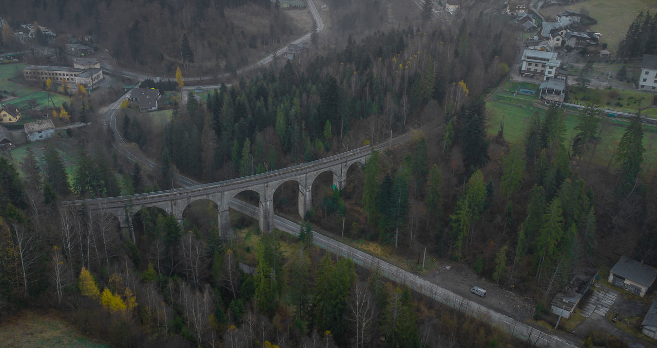 HIGH ANGLE VIEW OF BRIDGE AMIDST TREES