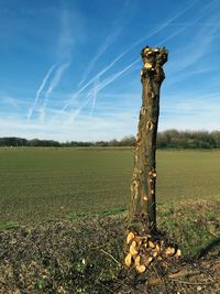 View of wooden post on field against sky