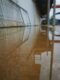 Surface level of wet floor