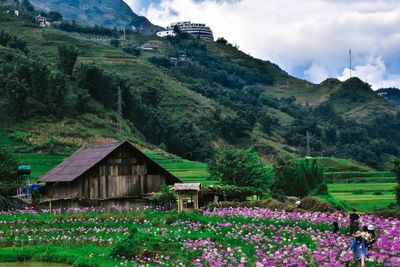 Scenic view of flowering plants and trees on field