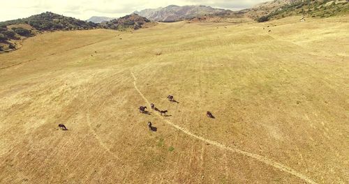 High angle view of a field