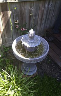 Fountain in water