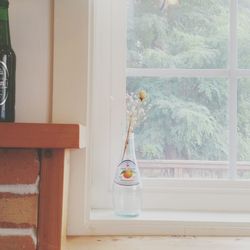 Flower plant on window sill