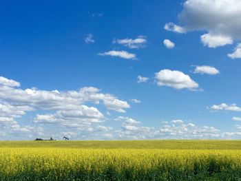 Scenic view of rapeseed oil field against cloudy blue sky