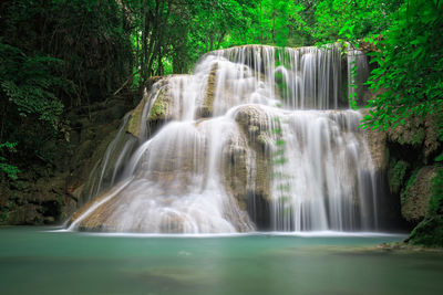 Scenic view of waterfall in forest