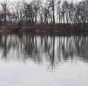 Reflection of trees in lake