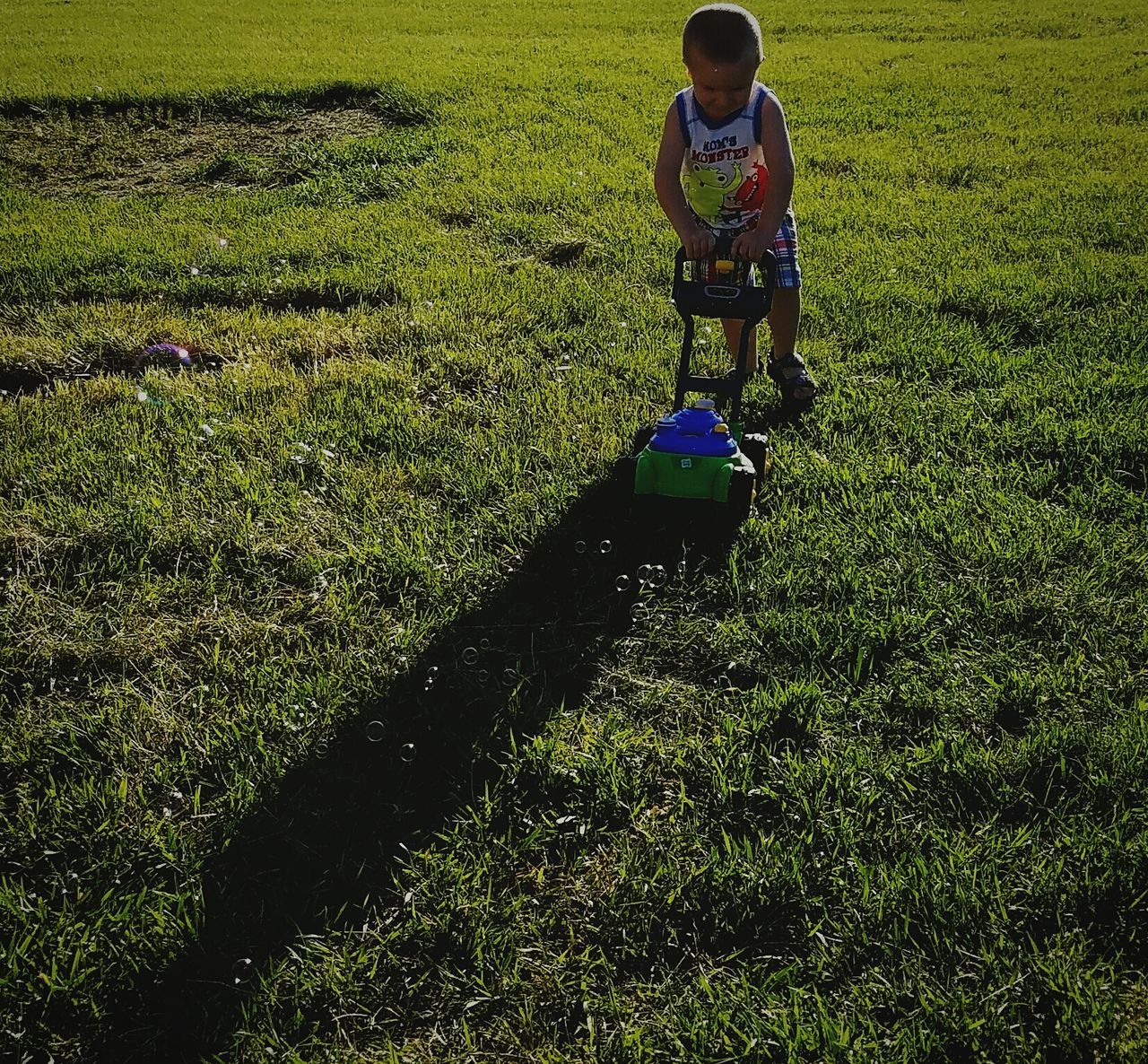 childhood, field, full length, grass, boys, day, agriculture, growth, outdoors, one person, real people, walking, nature, domestic animals, one boy only, animal themes, mammal, people