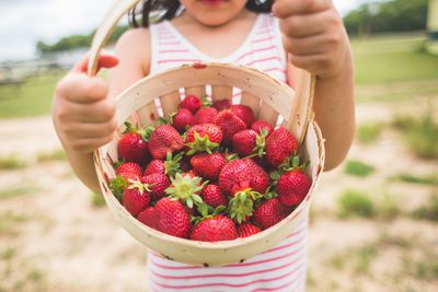 Close-up of hand holding strawberries in basket