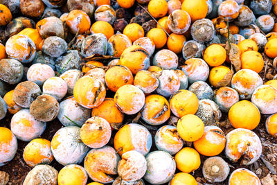 Full frame shot of oranges