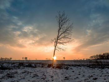 Scenic view of snow field against sky during sunset