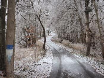 Road amidst trees in forest