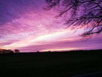 Silhouette trees on field against sky at sunset