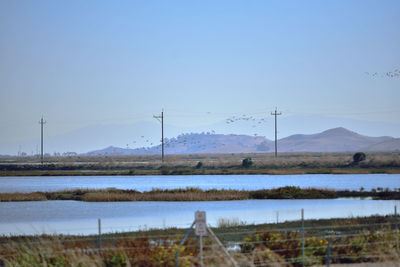 Scenic view of field by lake against clear sky