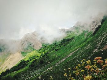 Scenic view of landscape against sky