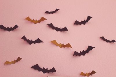 Bat decorations on wall during halloween