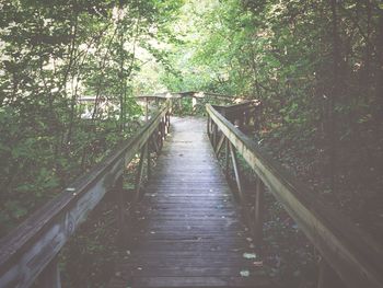 Footpath leading towards trees