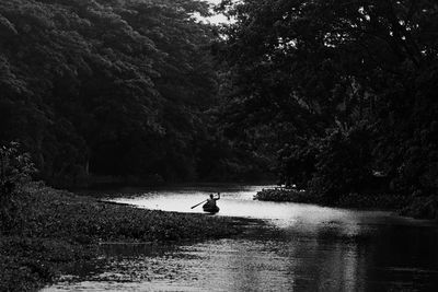 Man on boat in lake against trees in forest