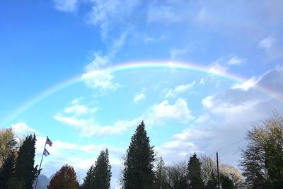 Low angle view of trees against rainbow in sky