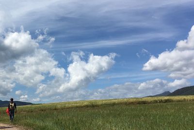 Scenic view of field against sky