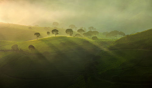 Scenic view of landscape against sky