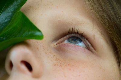 Close-up portrait of boy