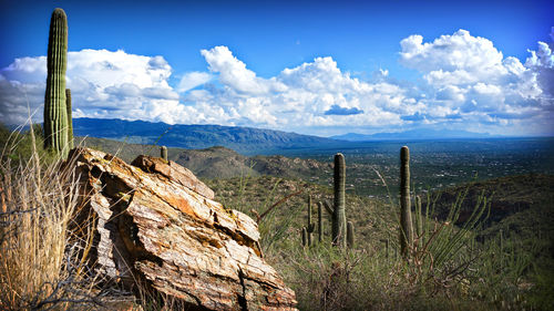 Scenic view of landscape against sky
