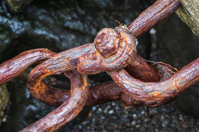 Close-up of rusty metal chain